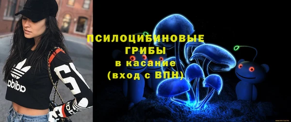 дурь Абинск