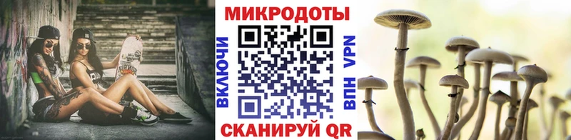 Псилоцибиновые грибы Cubensis  это наркотические препараты  Бугуруслан 