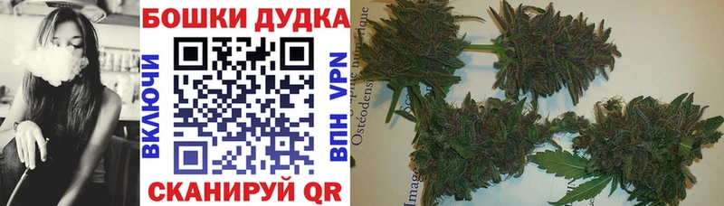 блэк спрут ТОР  Бугуруслан  Канабис планчик 
